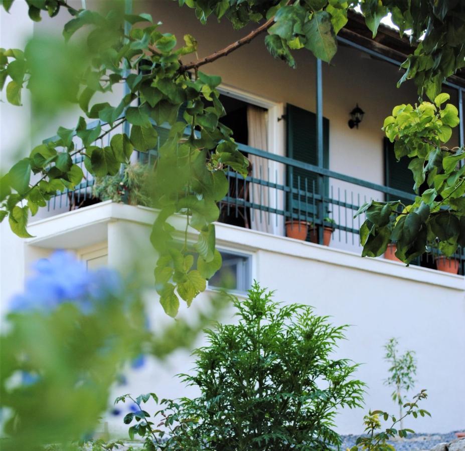 The Olive Grove By Konnect, Dasia